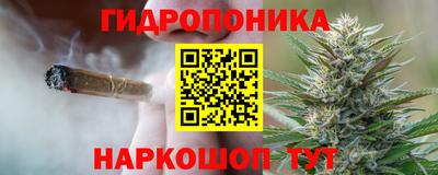 ПСИЛОЦИБИНОВЫЕ ГРИБЫ Краснознаменск