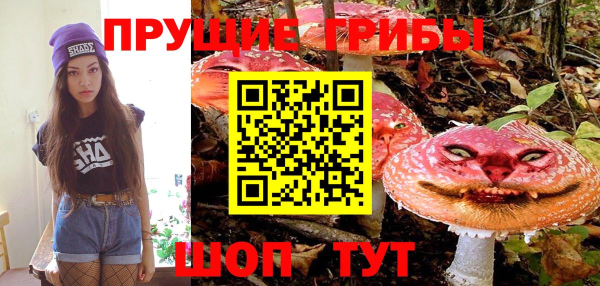 Кинель  Галлюциногенные грибы прущие грибы  Вход с VPN 