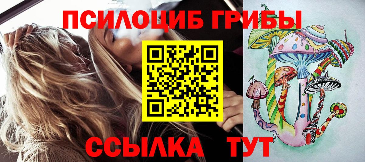 Псилоцибиновые грибы Cubensis Кинель