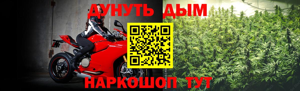 Бошки марихуана сатива Кинель